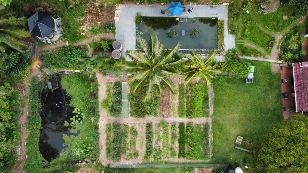 The Yarwood Homestead “Tropical R&D Site.” Source:(Abundant Cities)