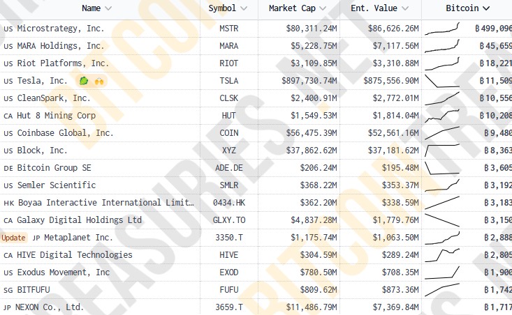 Bitcoin Treasuries