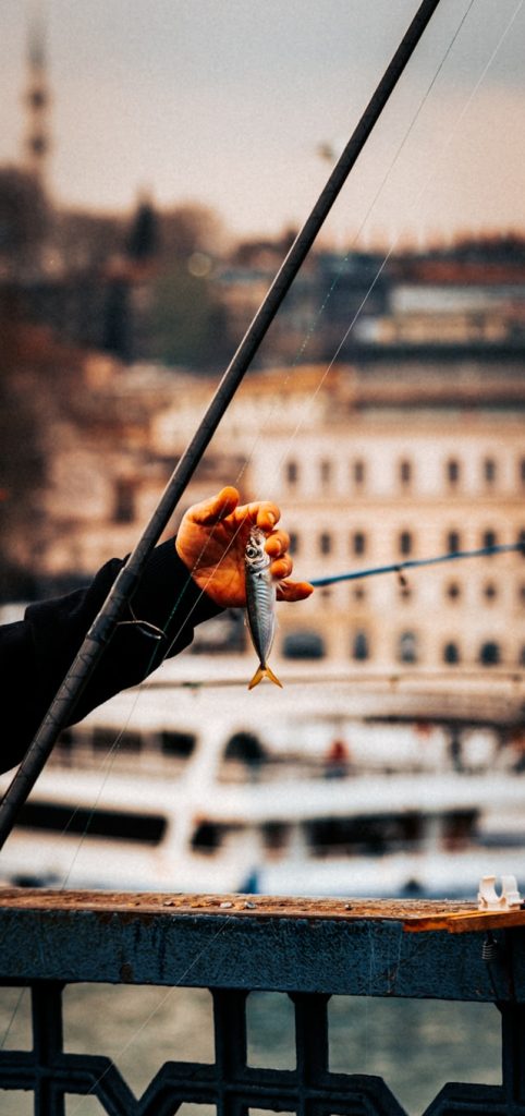 Fishing rod and small fish caught on hook