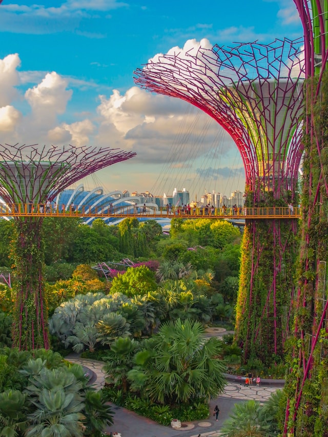 Singapore's Super Tree Grove at Gardens by the Bay
