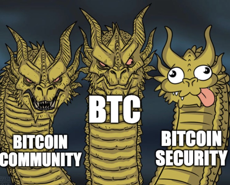 Bitcoin’s long-term safety finances drawback: Impending disaster or FUD?
